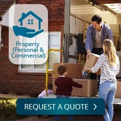 Mexican Property Insurance